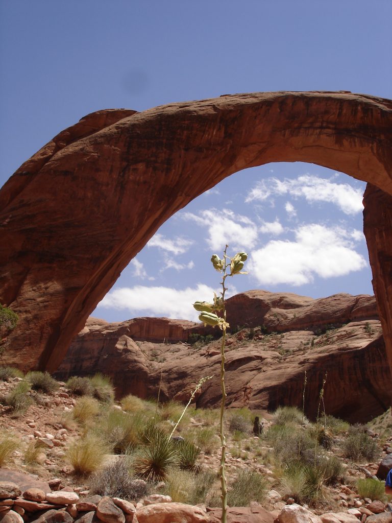 An Empowerment Coach helps you discover your frame of reference. Natural stone arch Rainbow Bridge, AZ